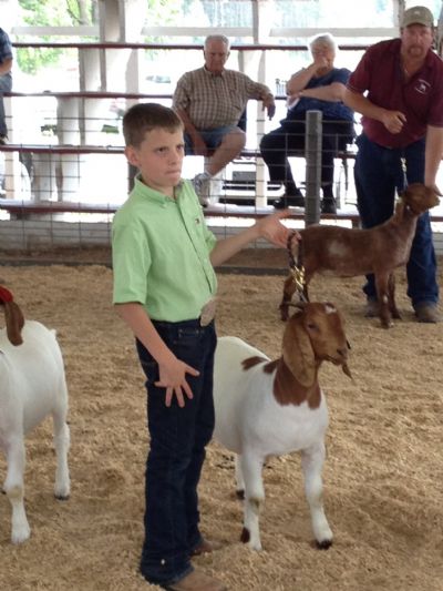 Andrew showing Wylde Green Acres Jingle to a Jr. Reserve Championship at Boernanza