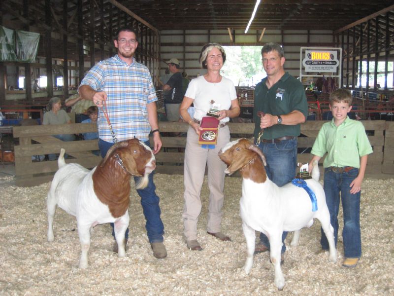 Wylde Green Acres Comet ENNOBLED - Boer Goat Buck